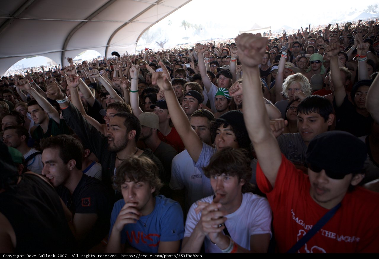 Hands Up in the Crowd
