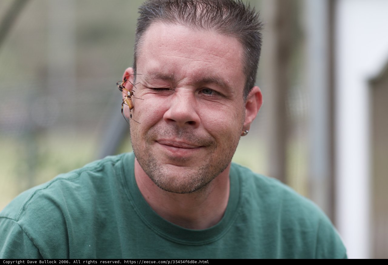 Bug-Smeared Smile