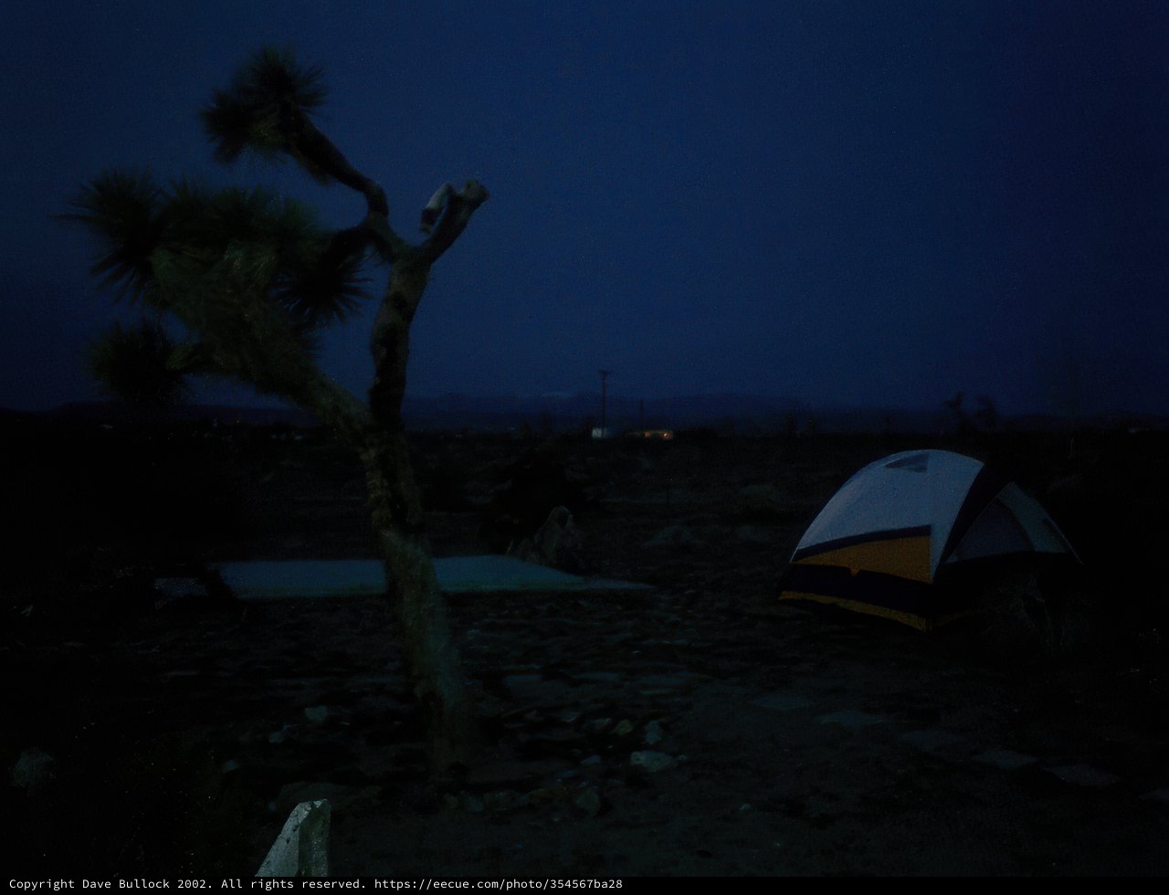 Desert Nights: Camping under the Stars