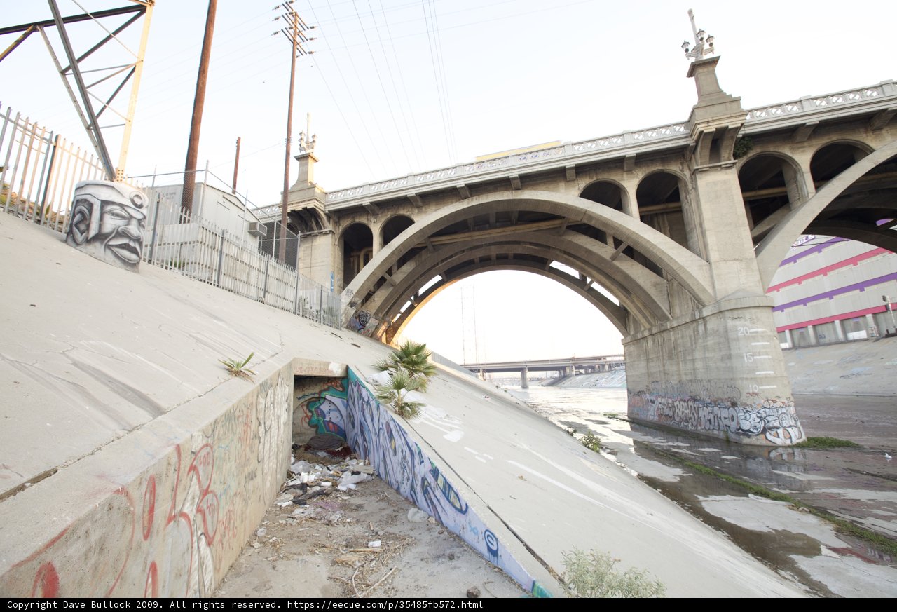 Riding Through the Urban Jungle