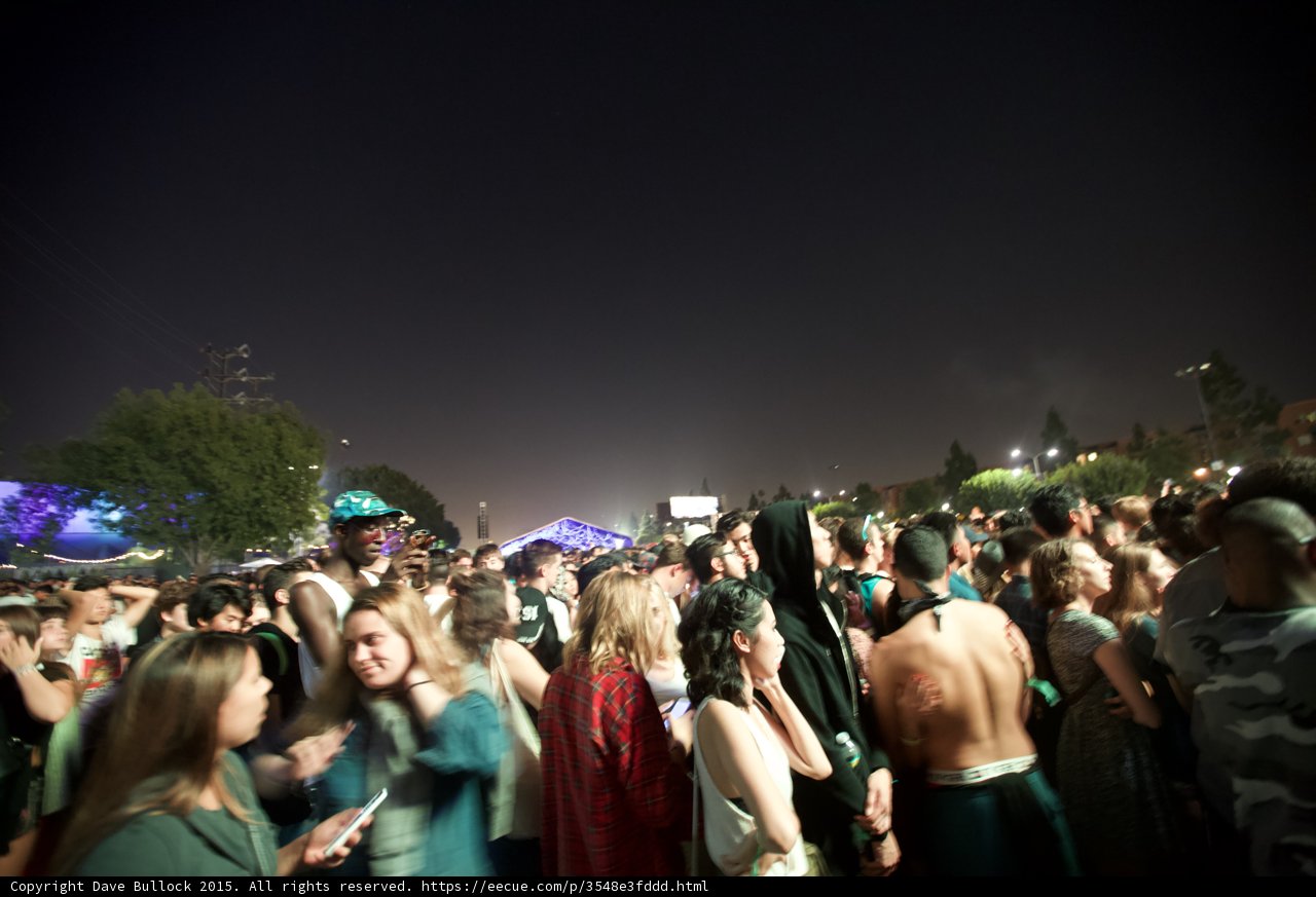 Festival Crowd Socializing