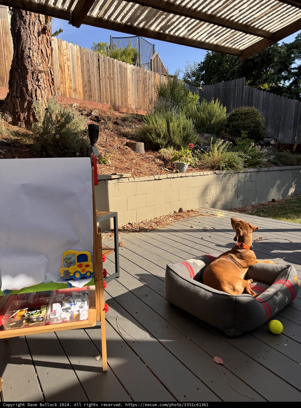 Sunny Morning Retreat