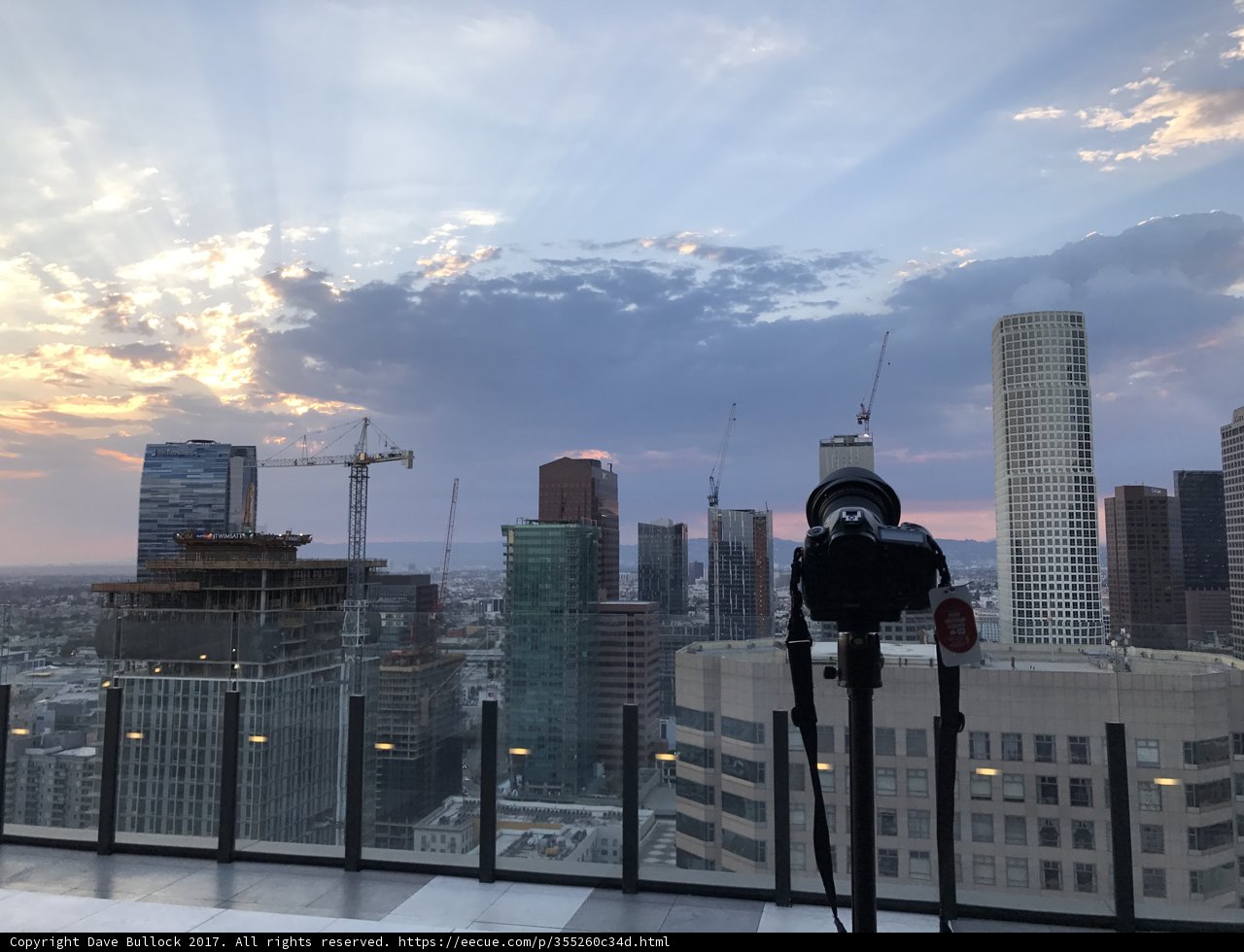 Overlooking the Urban Jungle
