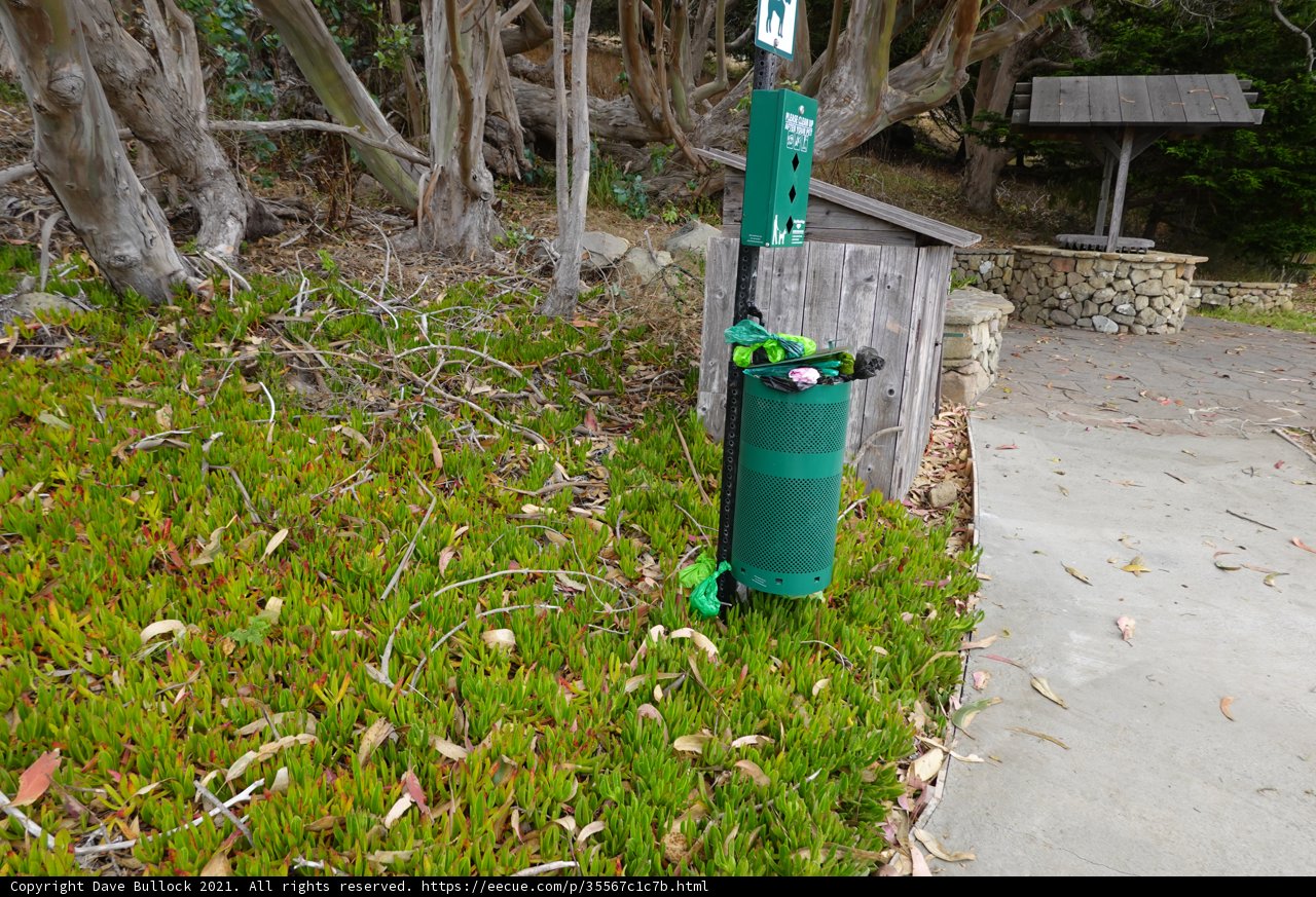 Green Fire Hydrant in Natural Surroundings