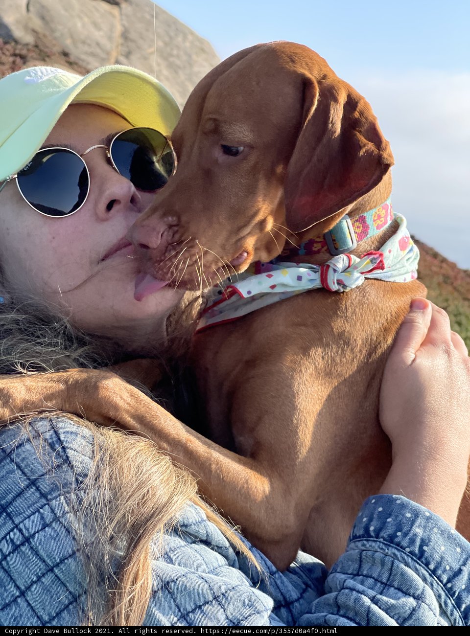 A Sunny Day with My Canine Friend
