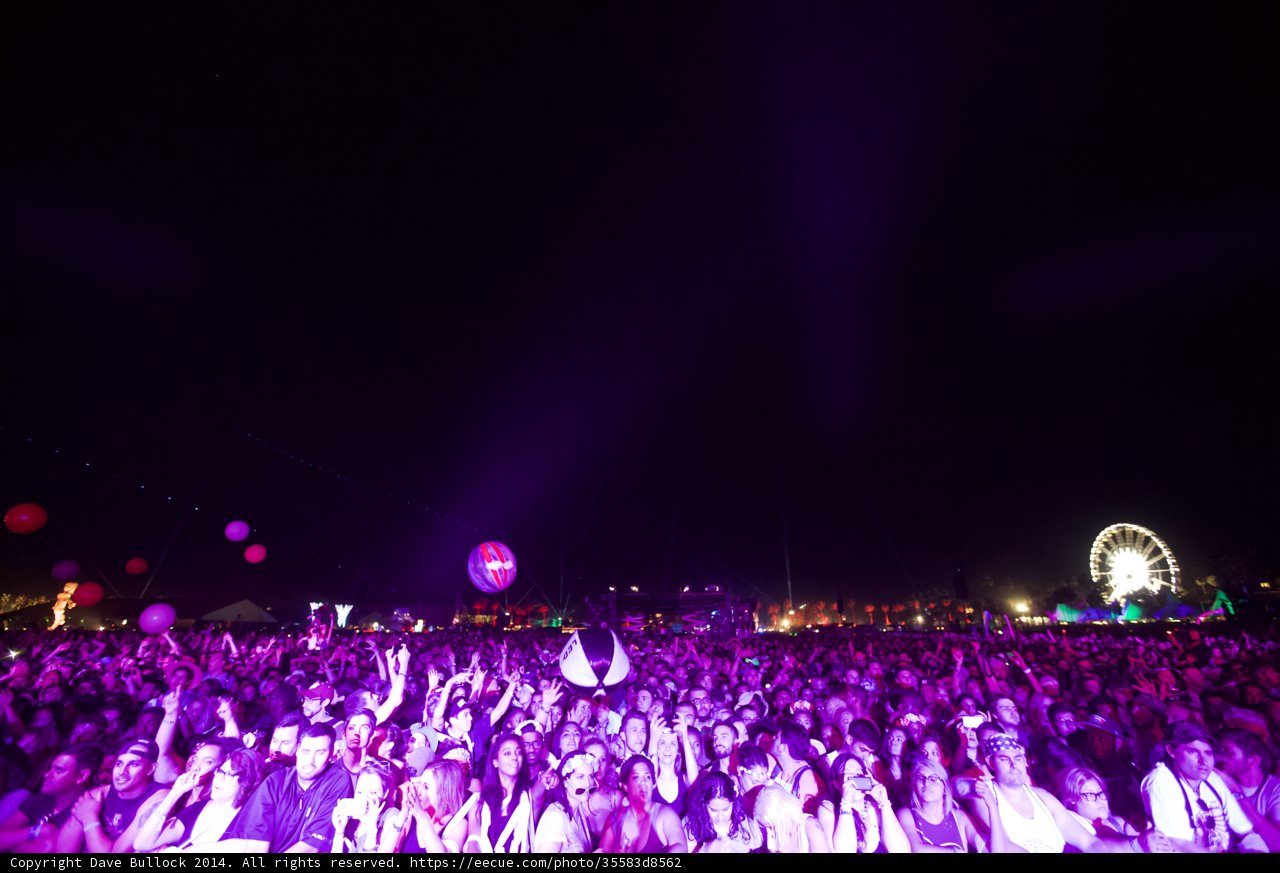 Purple Haze Concert
