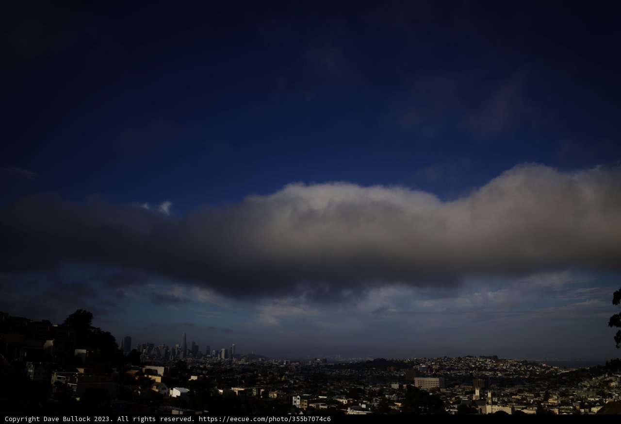 Metropolis Vista: A San Francisco Afternoon