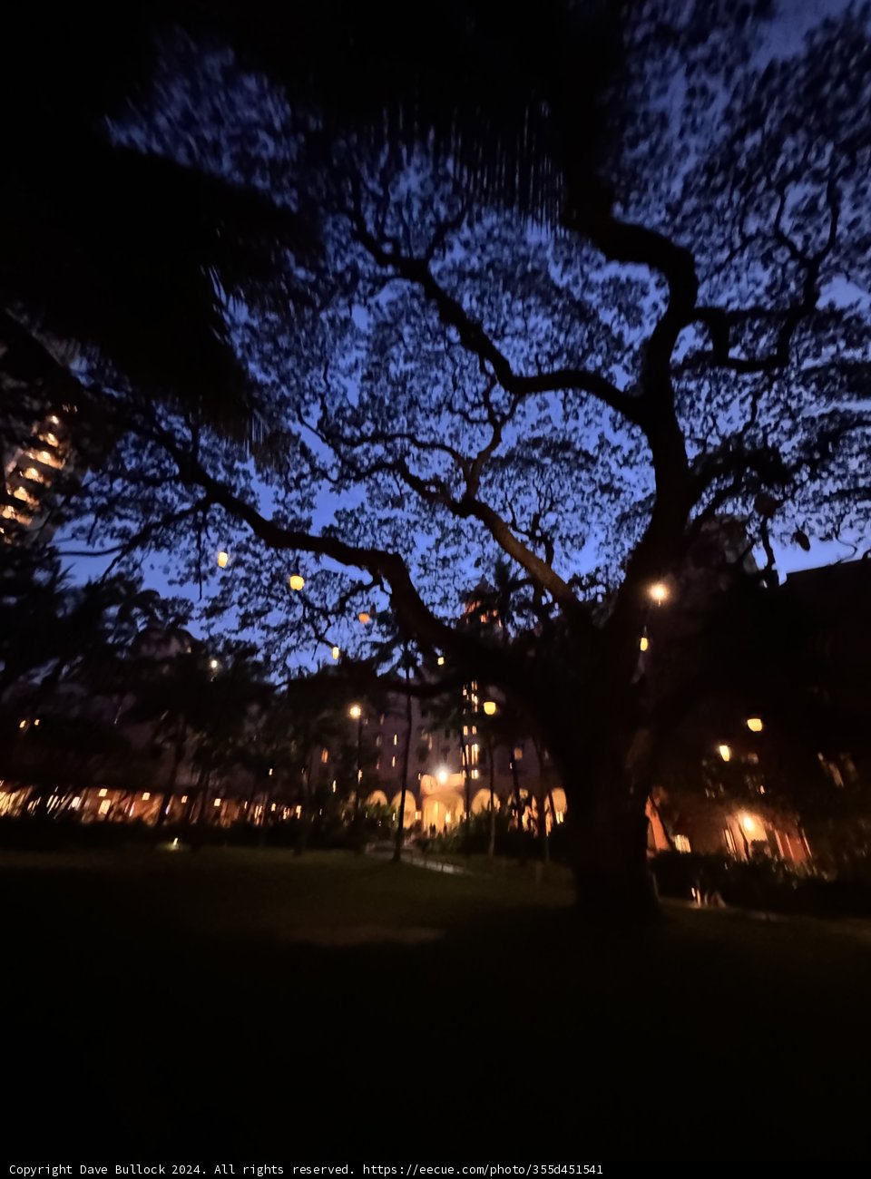 Twilight Silhouette