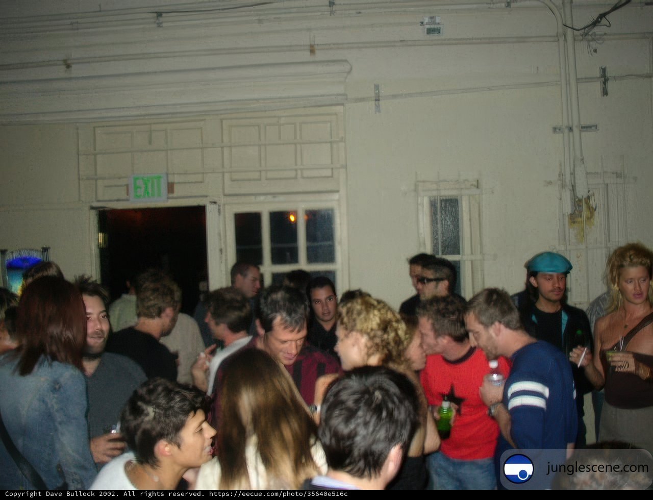 Partygoers at a Nightclub