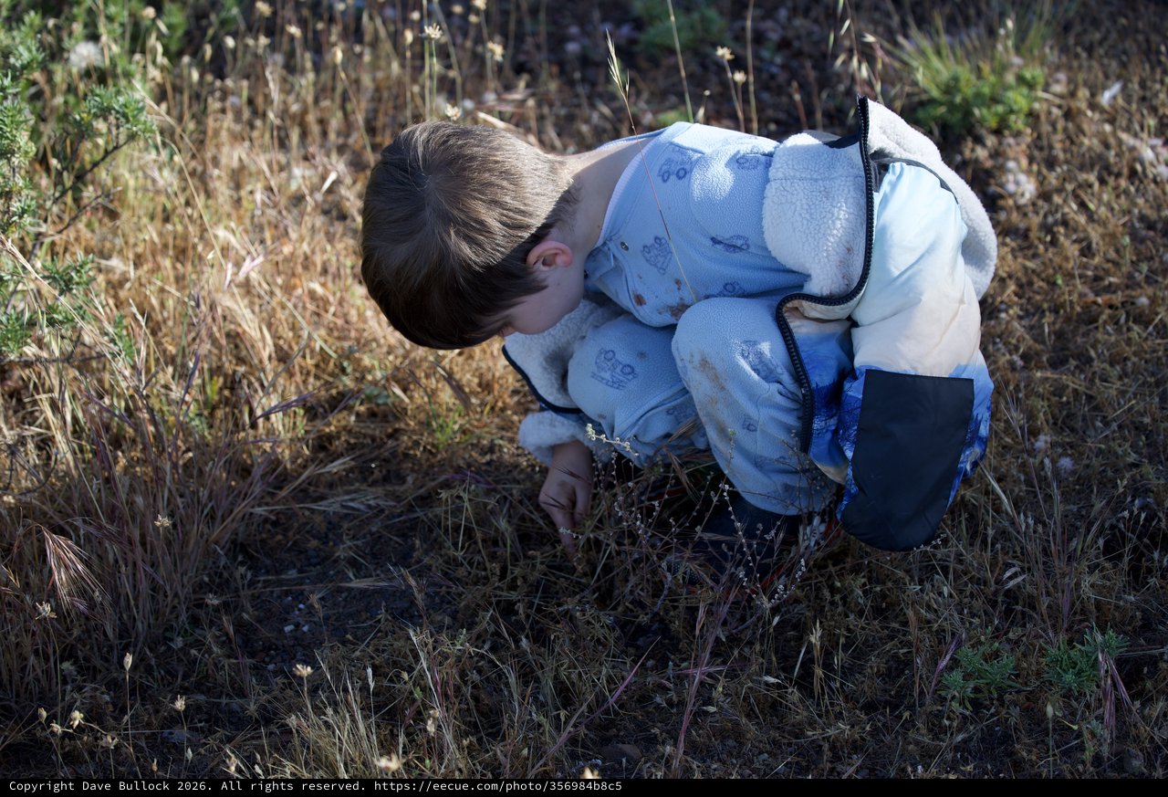 Young Explorer Discovers Nature's Tiny Wonders
