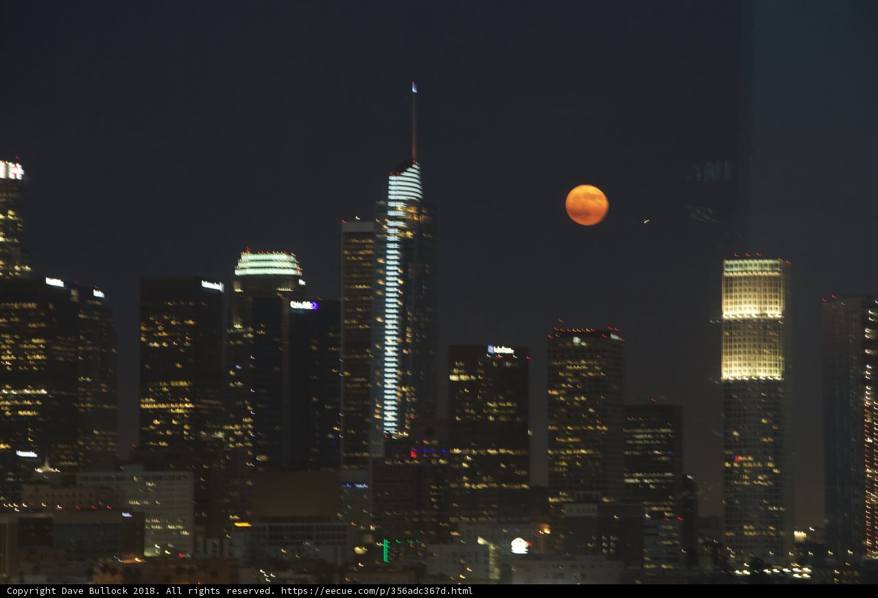 Moonlit Metropolis