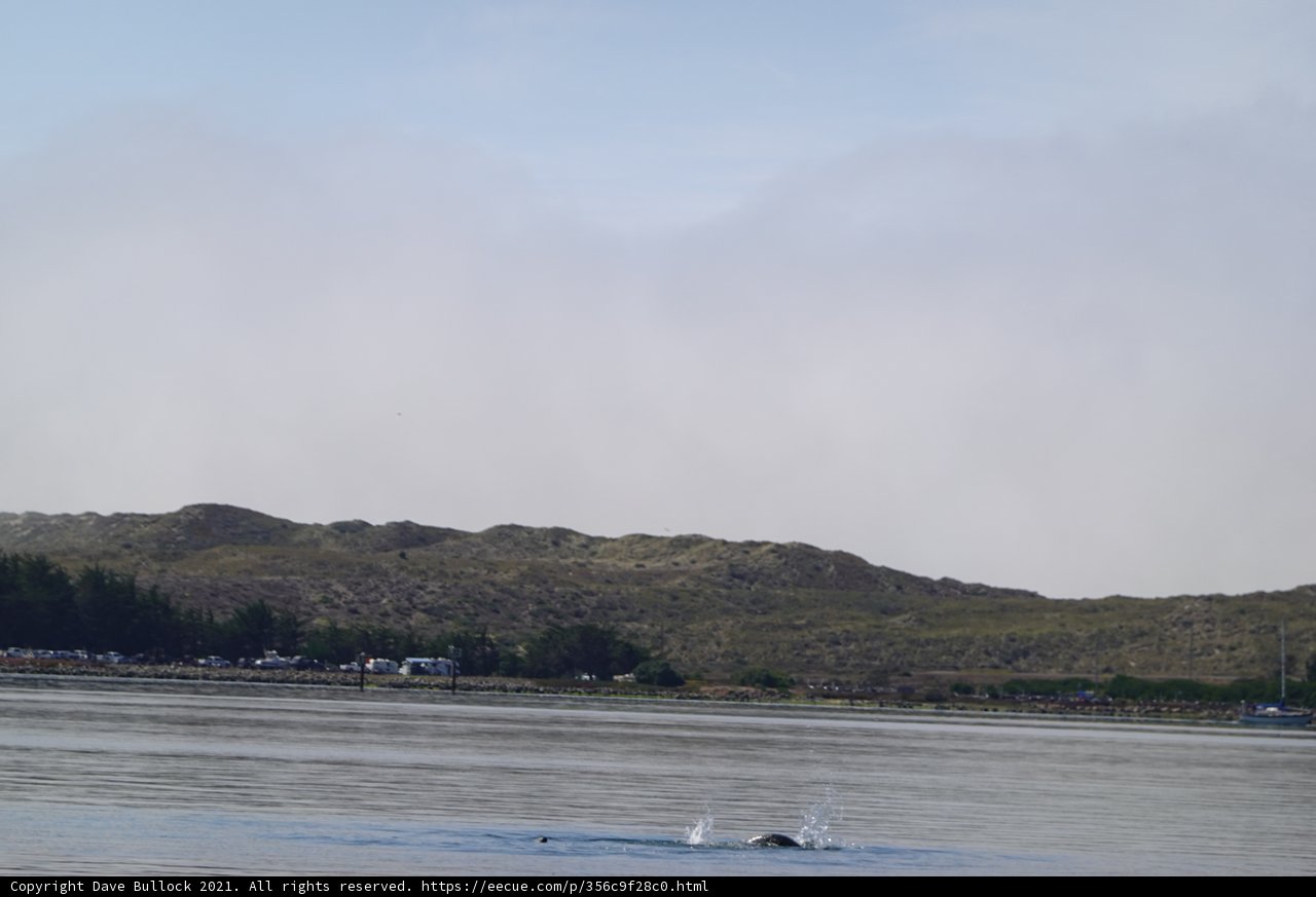 Stunning Scenery: Whale Sighting at Promontory