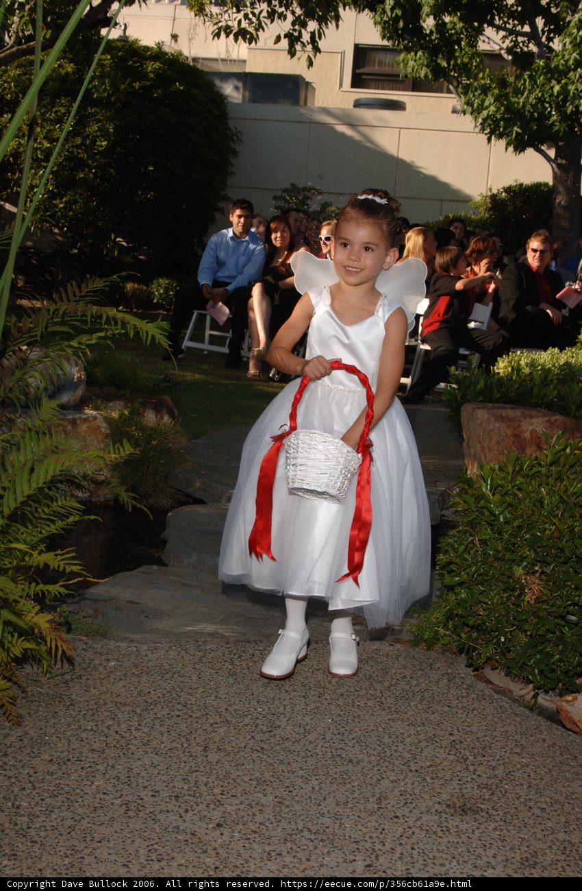 Little Girl in a White Dress Strolls Down a Garden Path