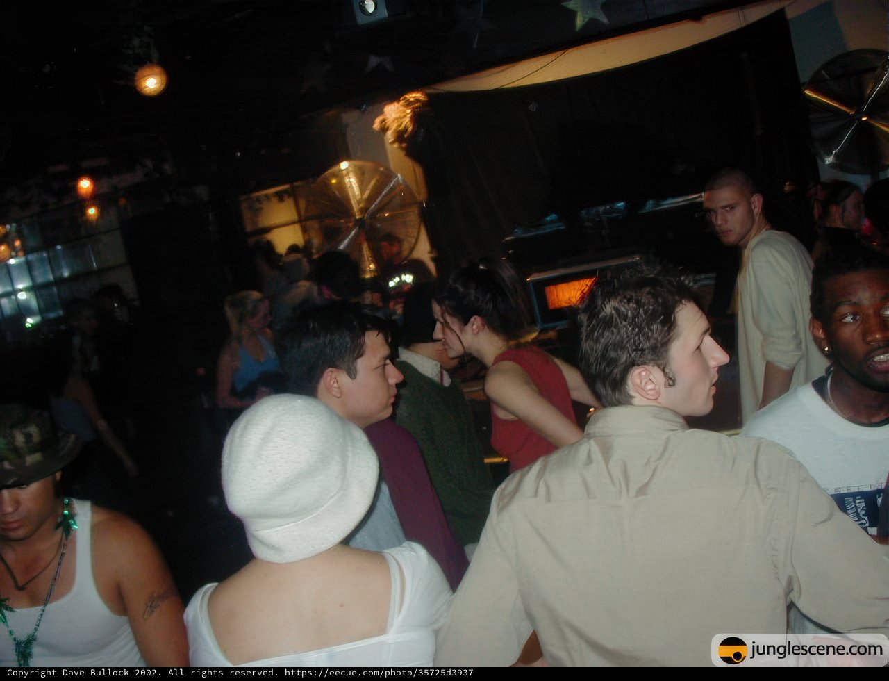 Nightclub Gathering