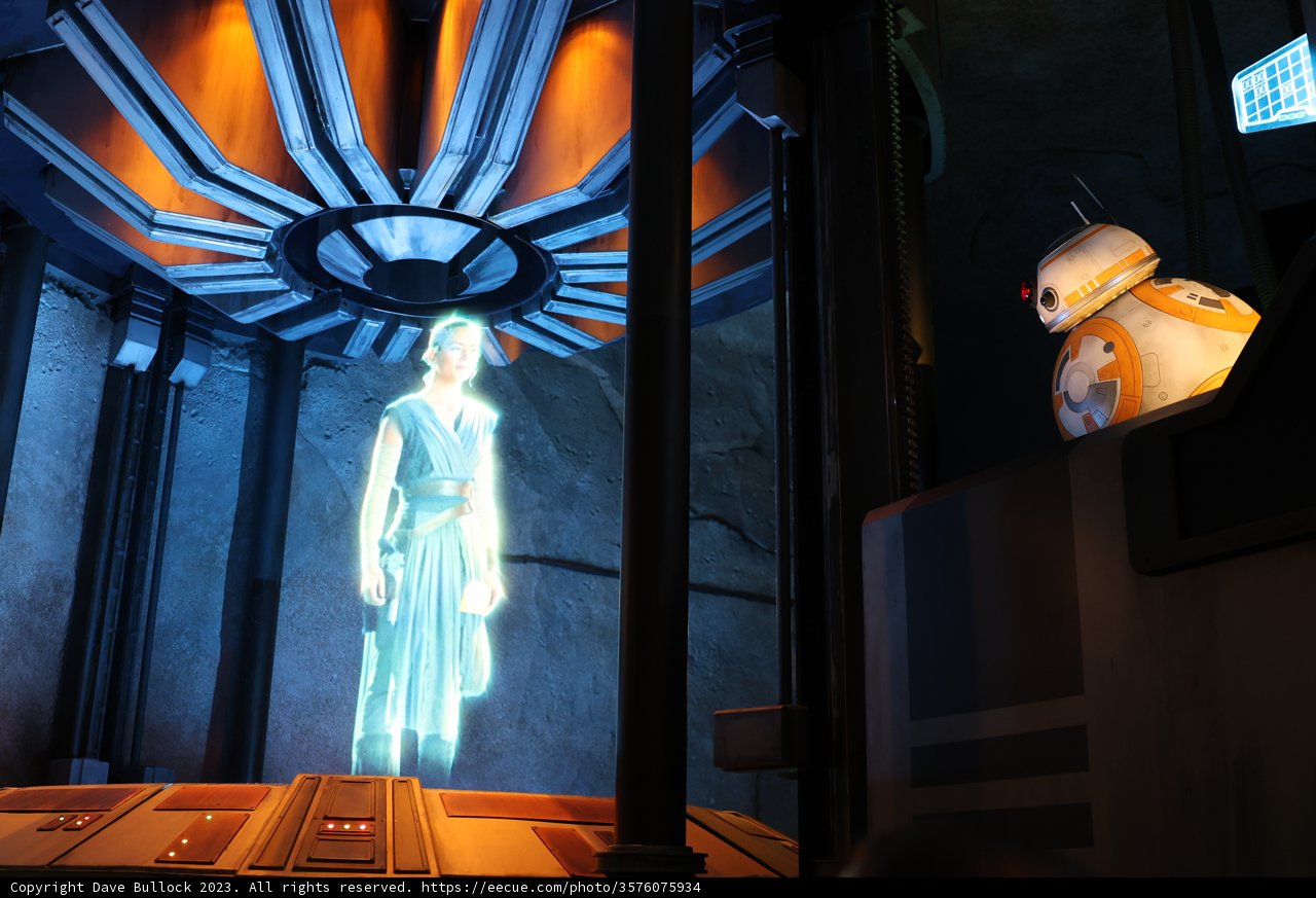 The Elegant Sith Warrior