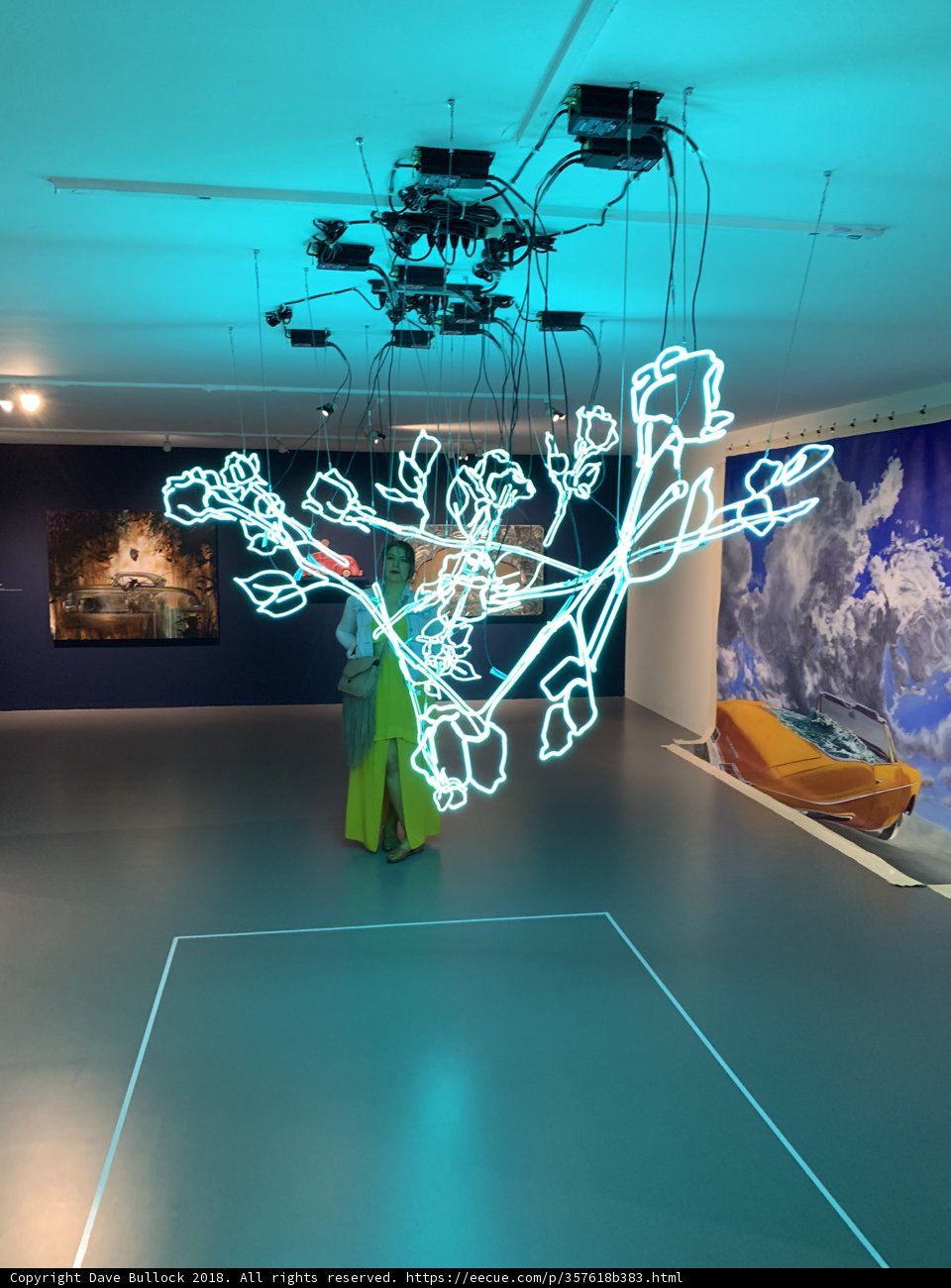 Neon Light Installation in Modern Art Gallery