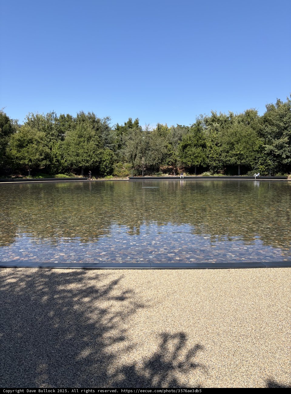 Tranquility at Apple Park