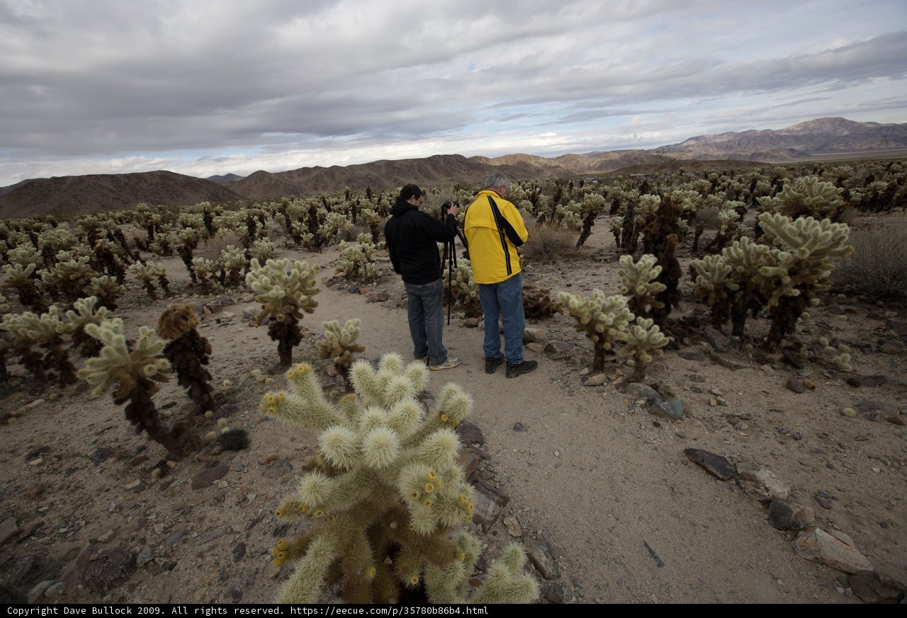 Desert Exploration
