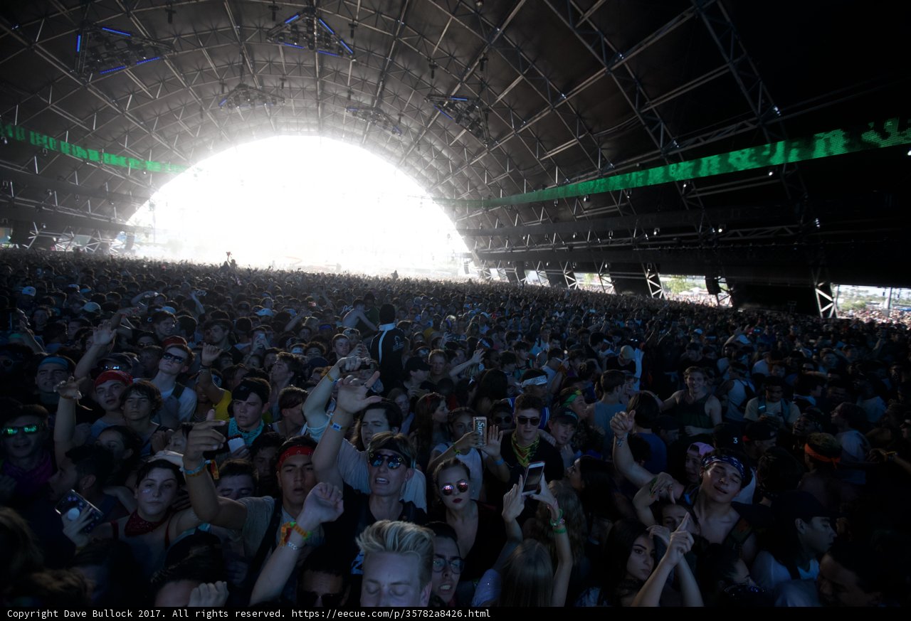 Enthusiastic Crowd at Coachella