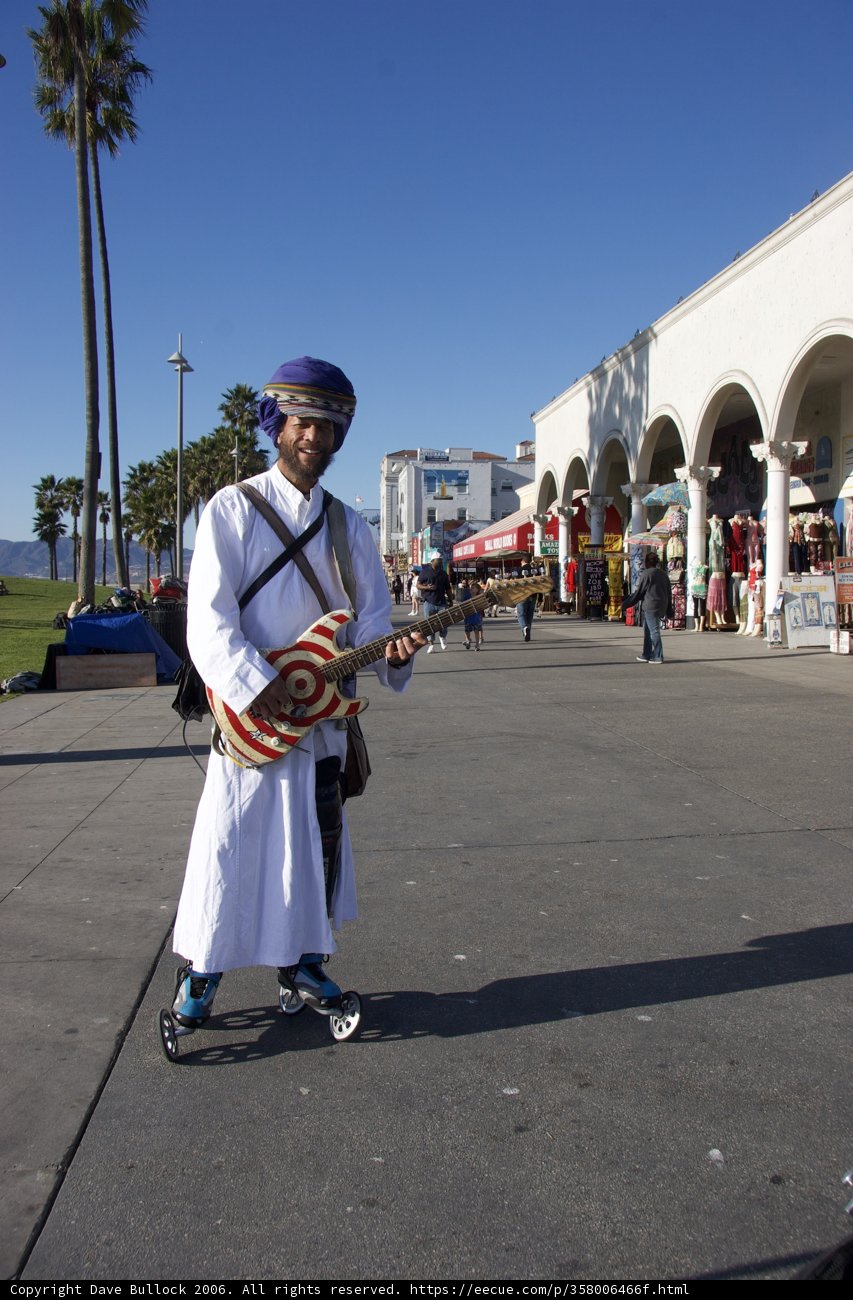 Serenade under the Palm Trees