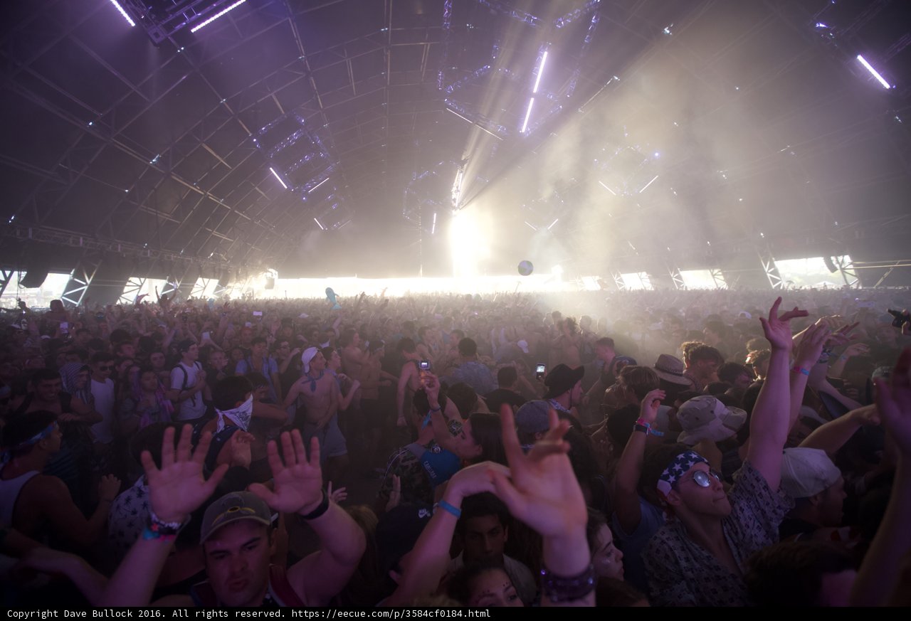 Concertgoers Euphoria at Coachella 2016