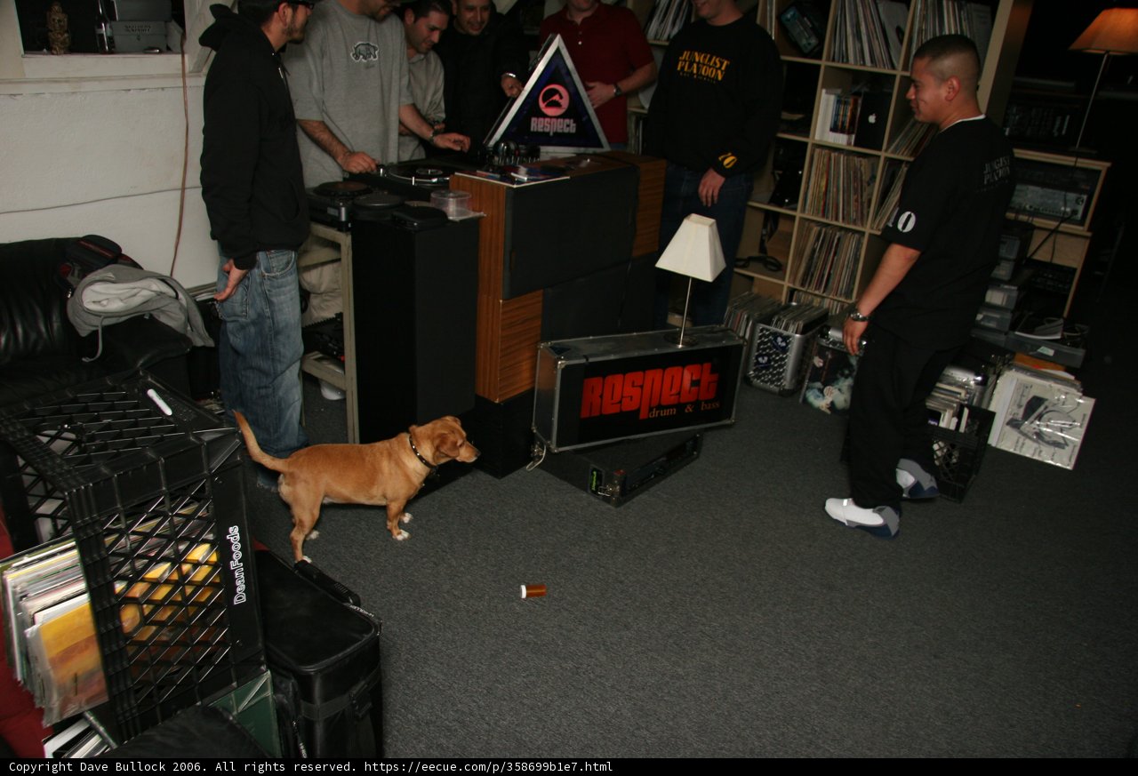 Furry TV Watcher