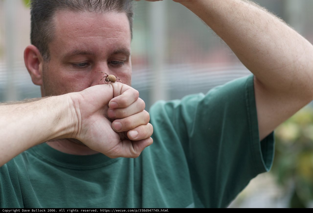 Man Brushing Teeth with Hand