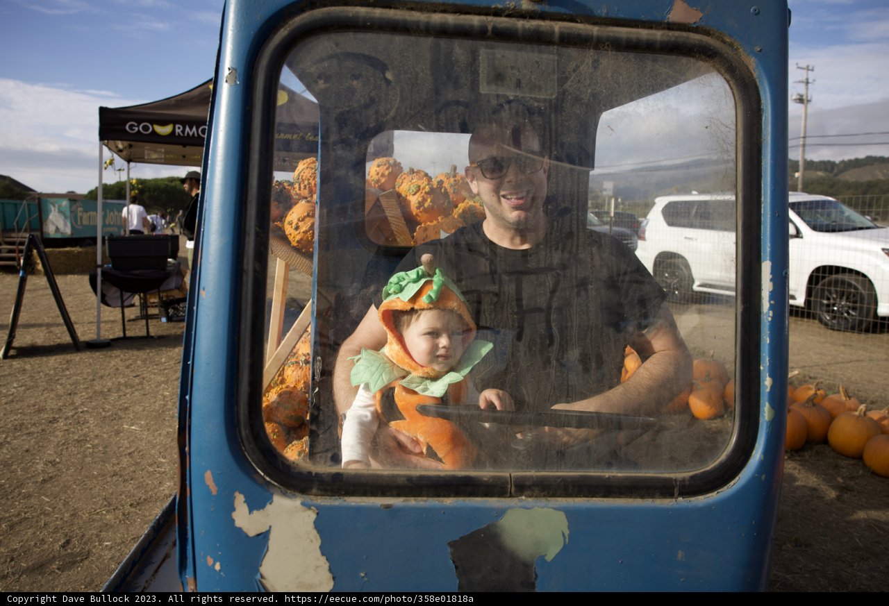 Pumpkin Patch Adventures with Dave and Little One