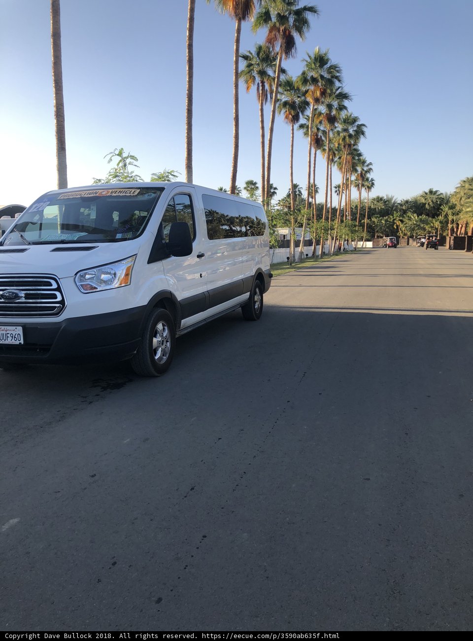 Parked Van on a Palm Tree-lined Road