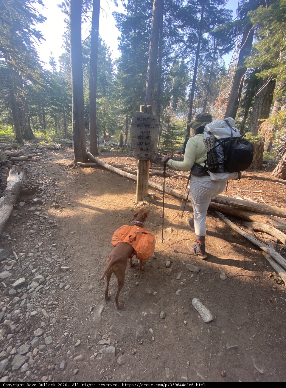 Hiking with My Best Friend