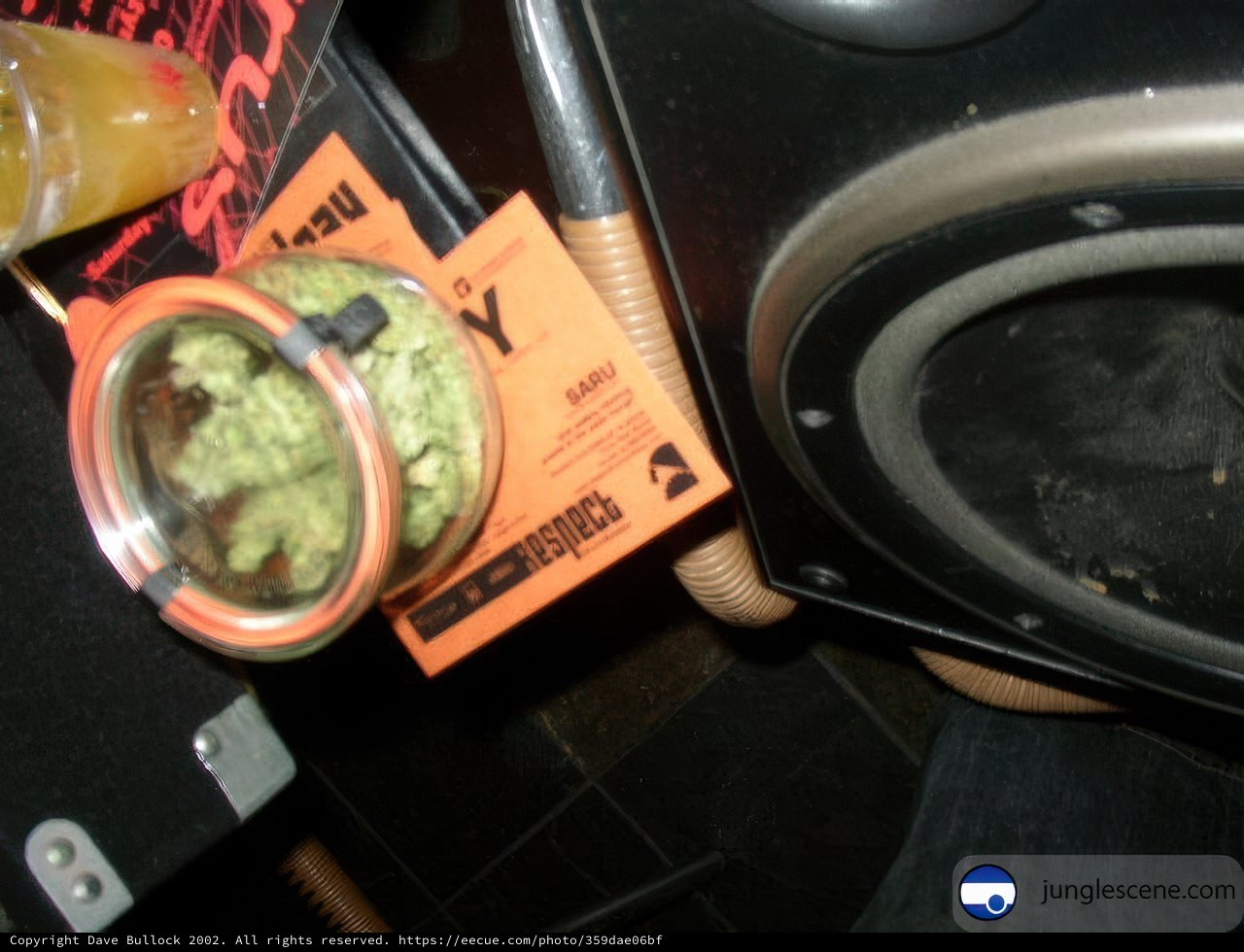 Groovy Tunes and Green Cuisine