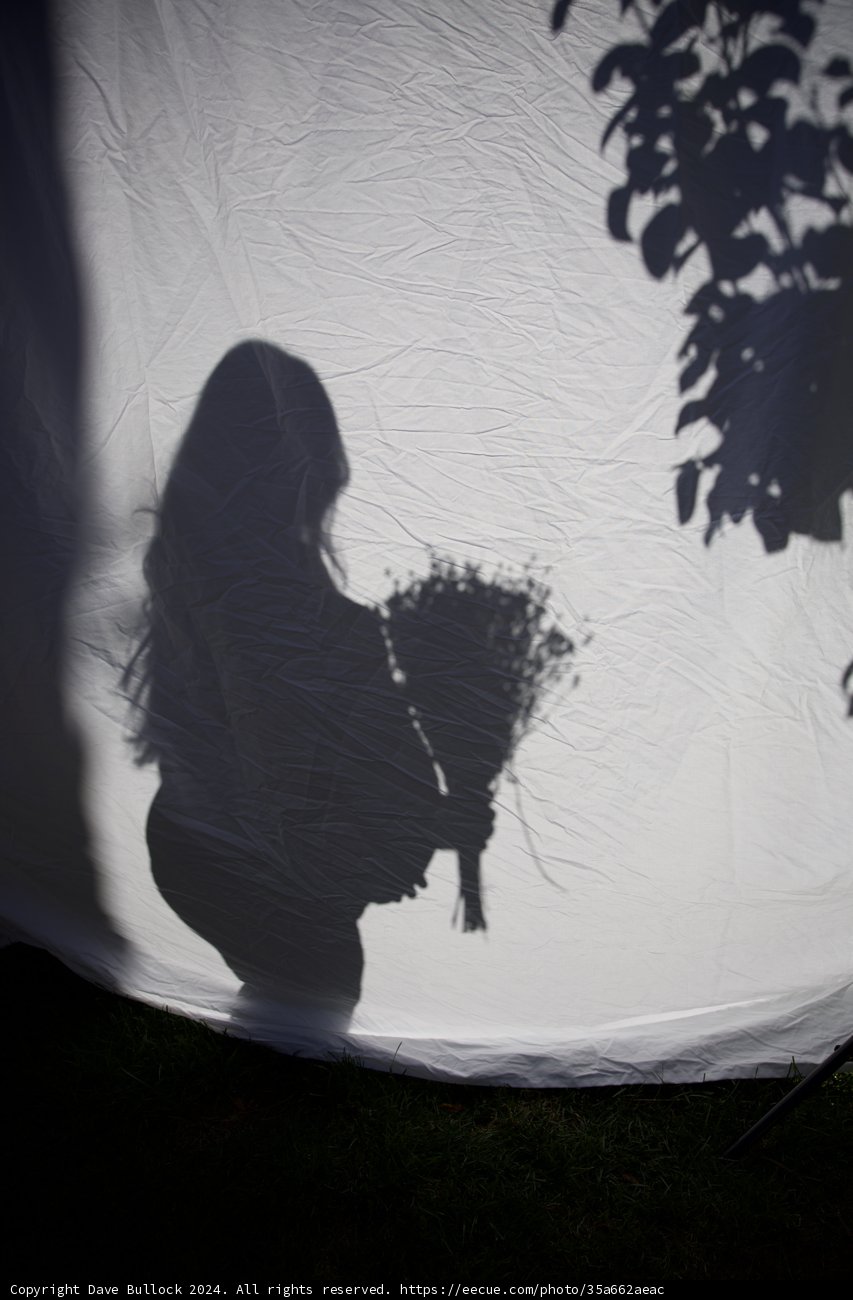 Anticipation in Silhouette