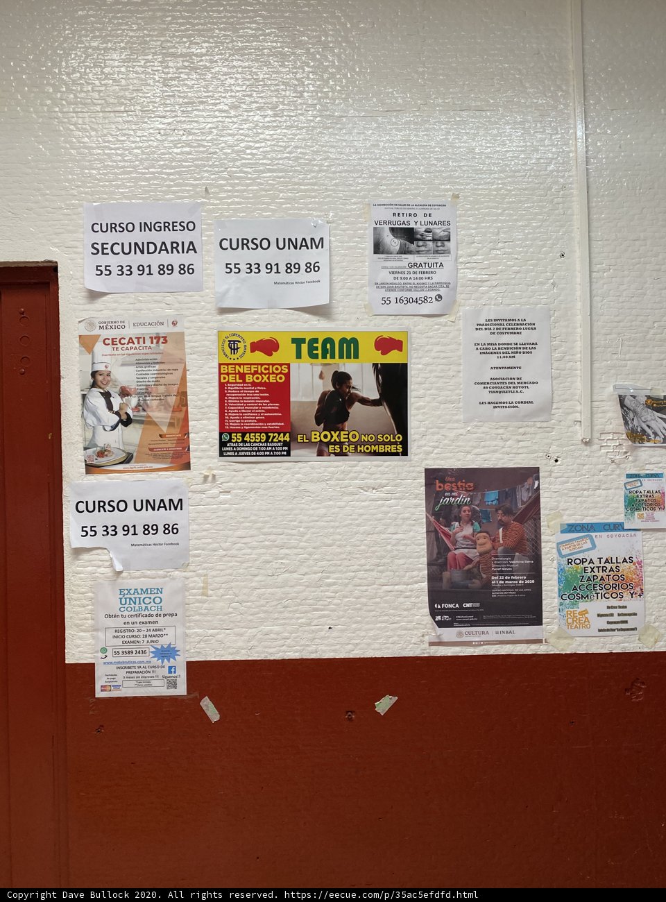 A Mosaic of Posters and Signs in Mercado de Coyoacan