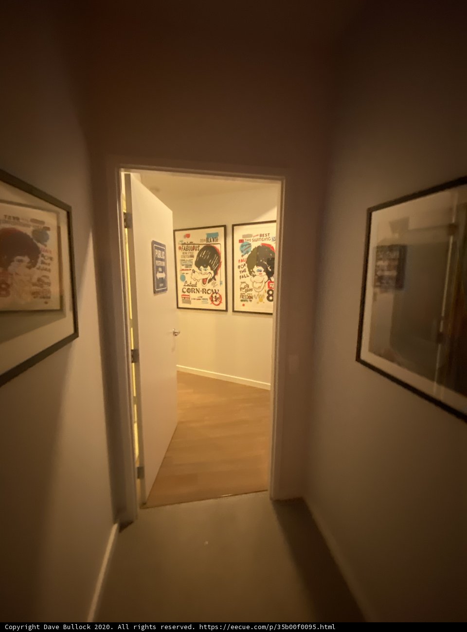 Hallway of Art and Flooring