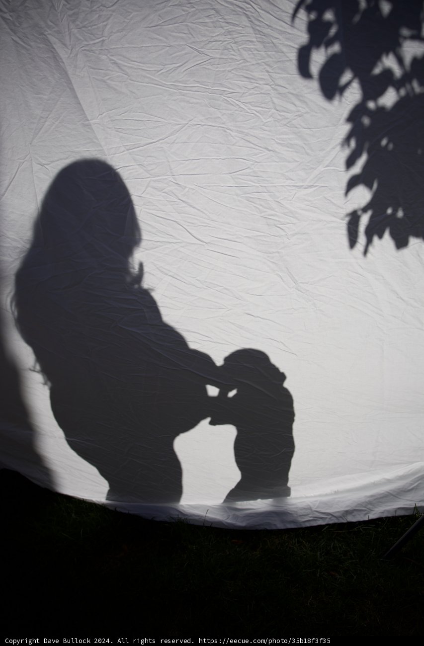Embracing Shadows