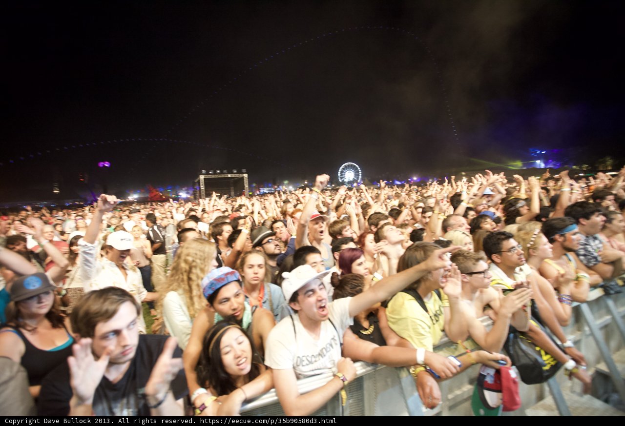 Festival Fever