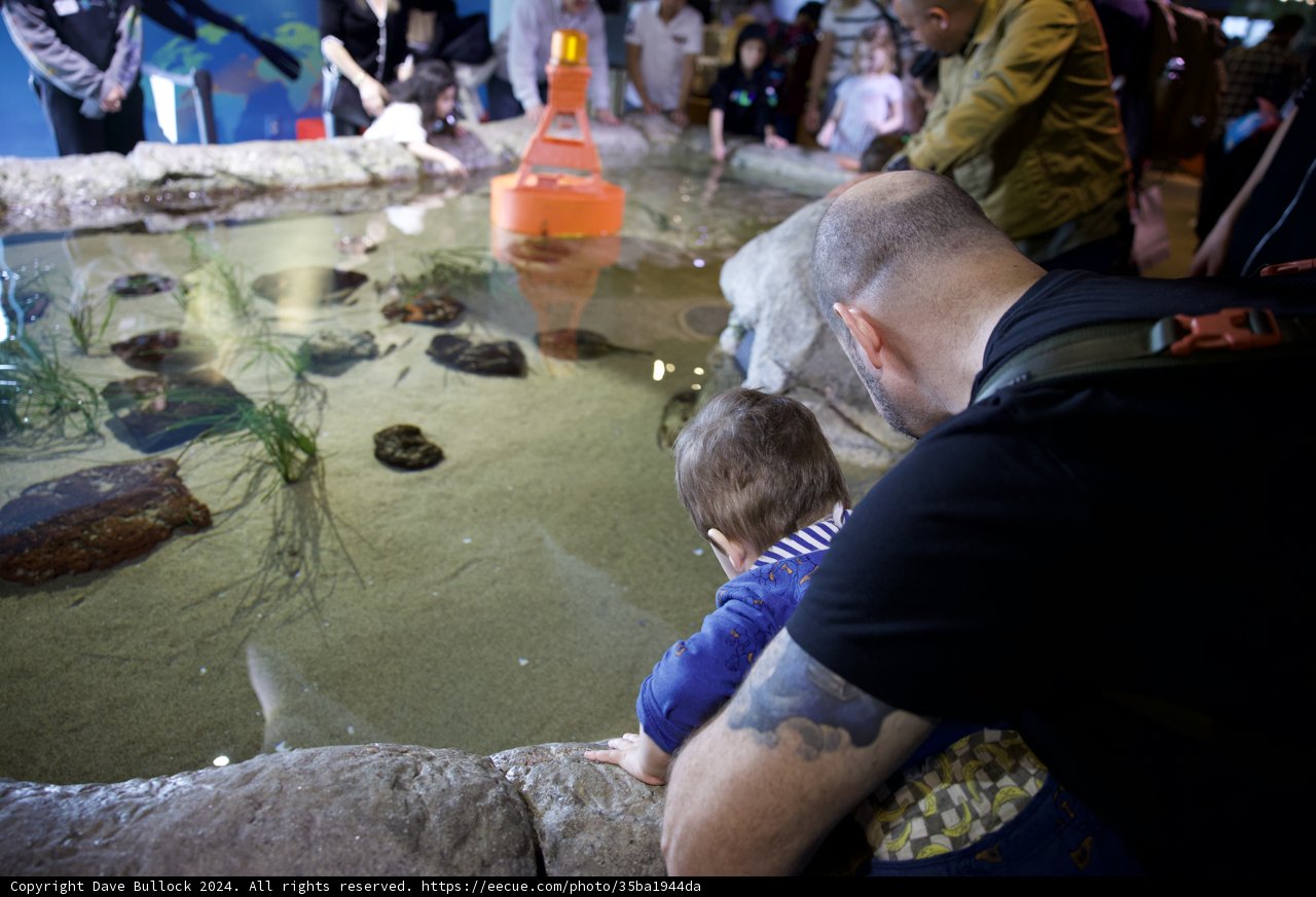 Curiosity Underwater: Man with Child at The Aquarium