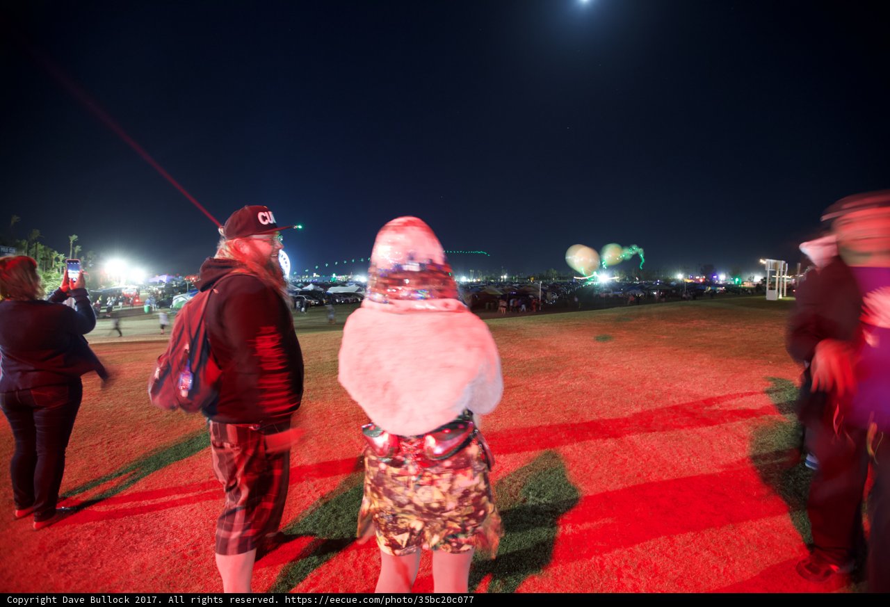 Moonlit Fashion in the Field