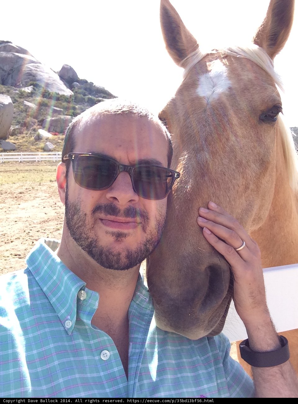 Dave B and his Colt Horse