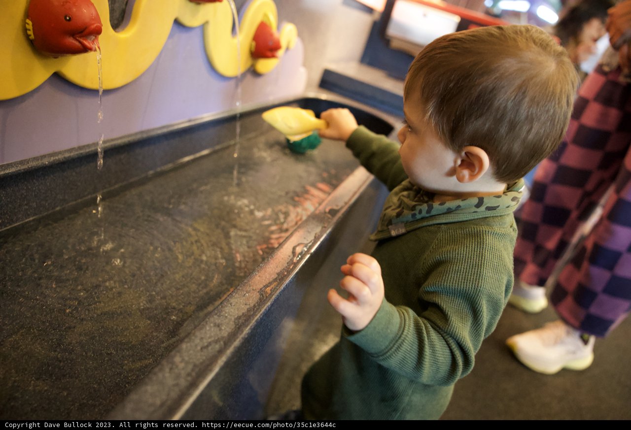 Joy of Aquatic Play