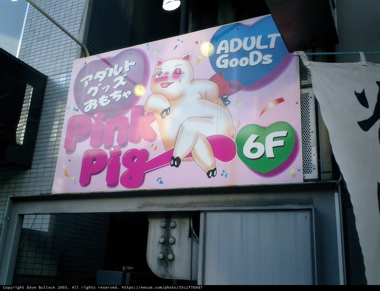 Adult Goods Store Sign in Tokyo