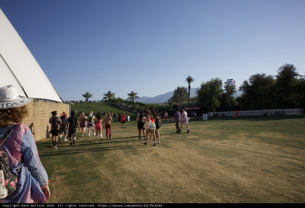 Sunny Vibes at Coachella 2024