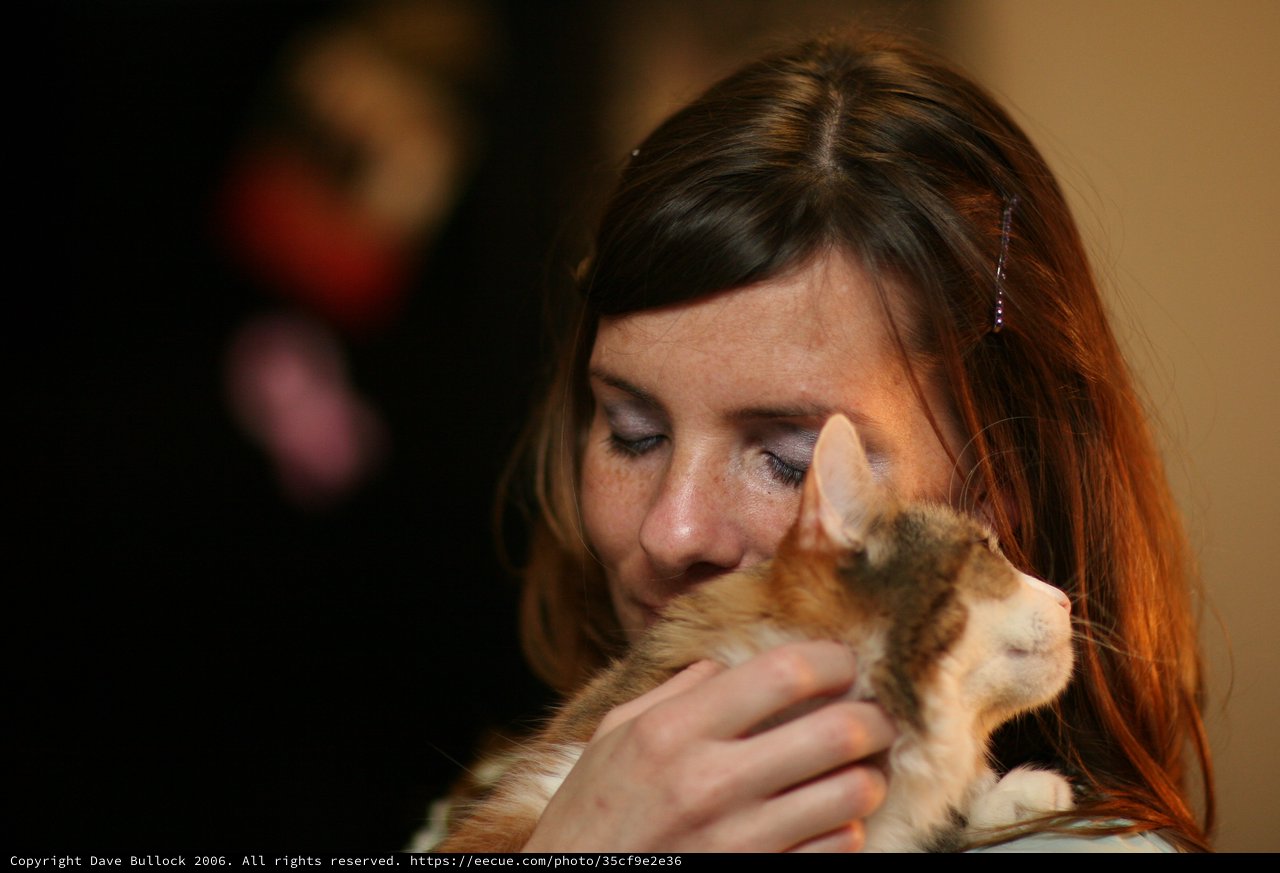 Tender Moment: Woman Nuzzles Calico Kitten Lovingly