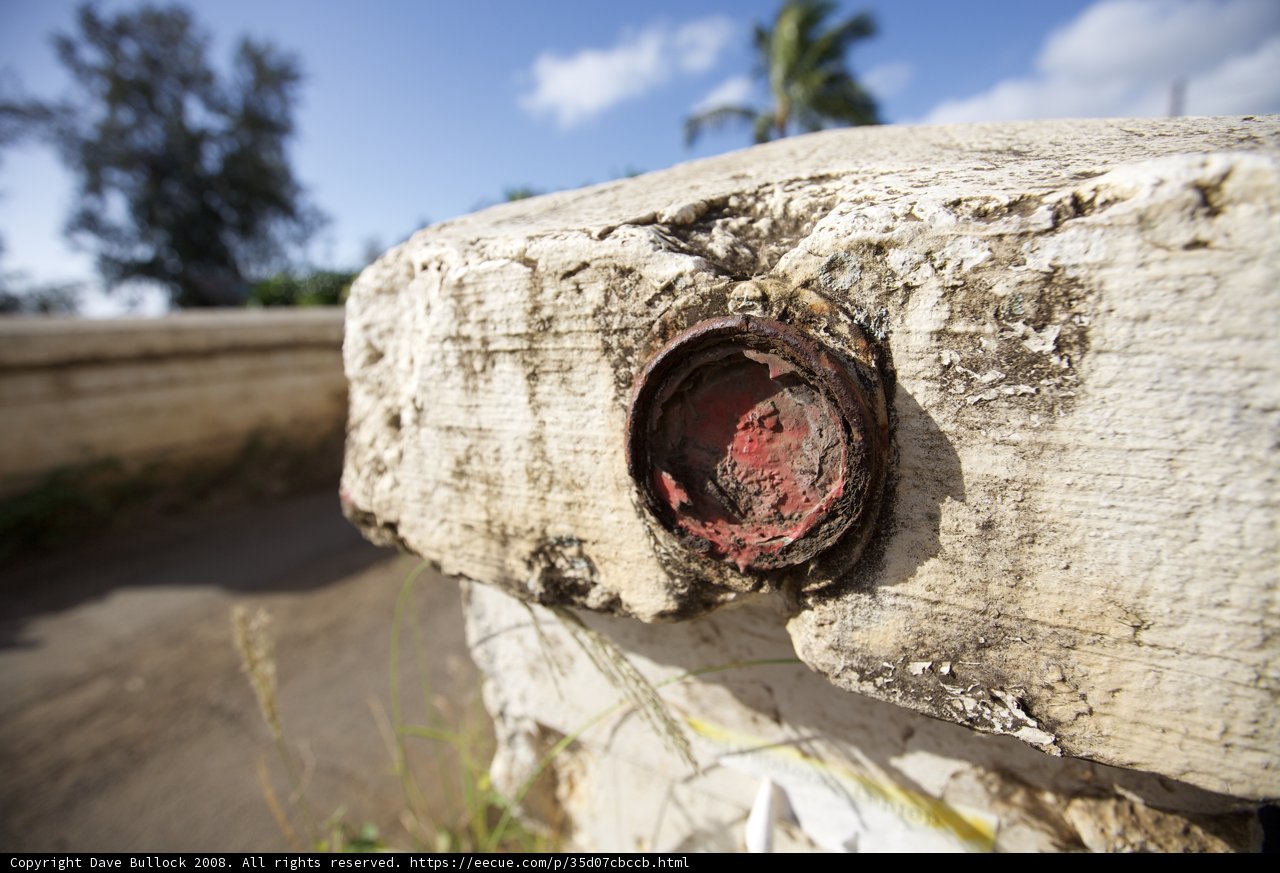 The Lonely Red Button