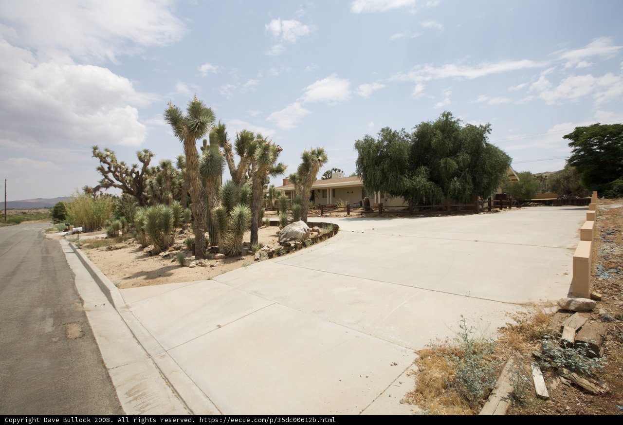 Driveway Path with Desert Scenery