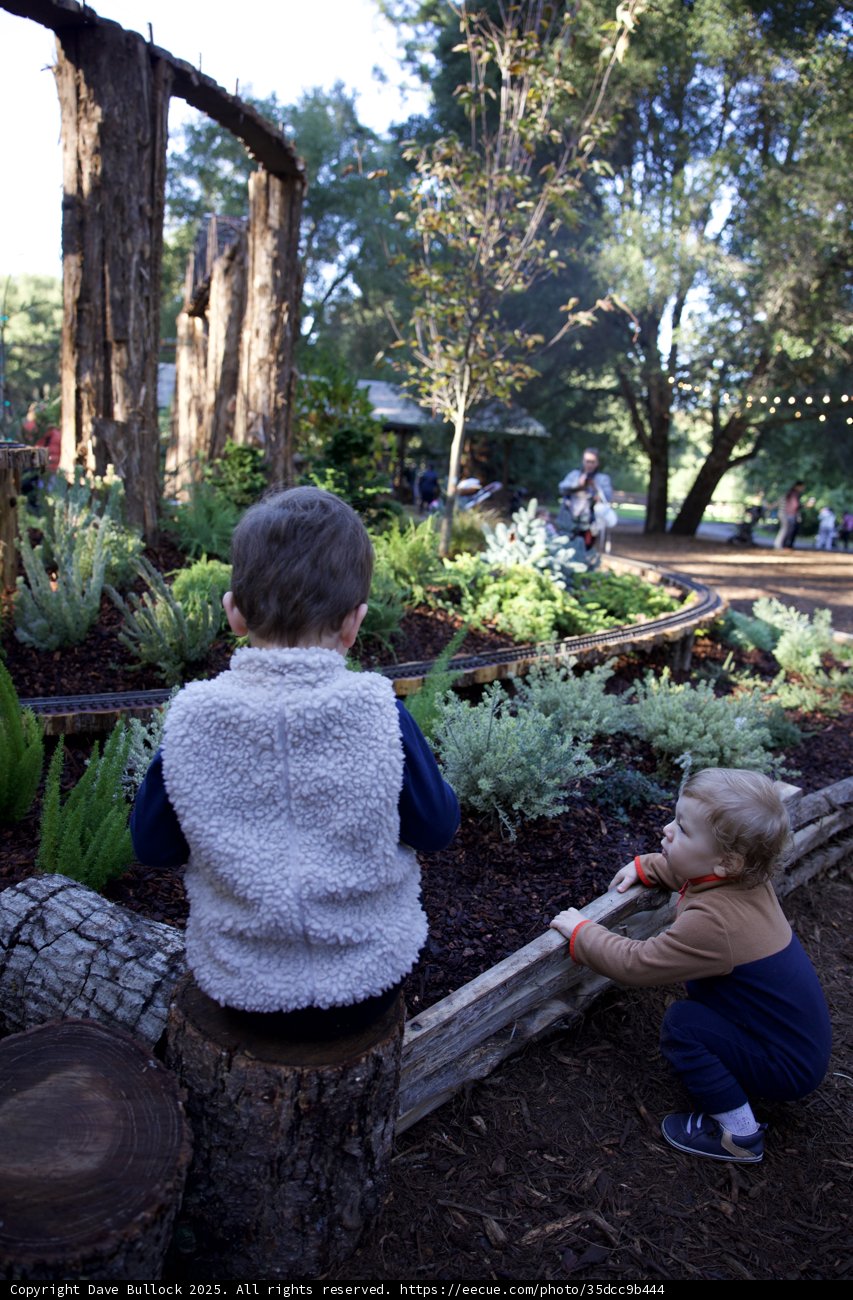 Exploring the Magic of Thistlewyck