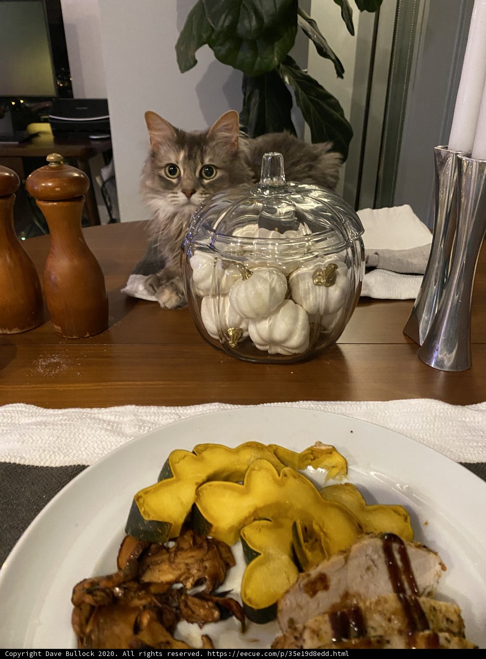 Tabletop Temptation