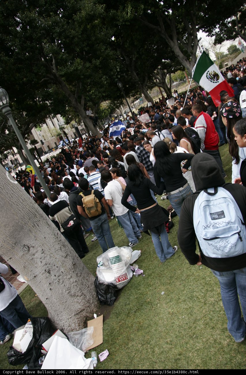 School Walkout Protest