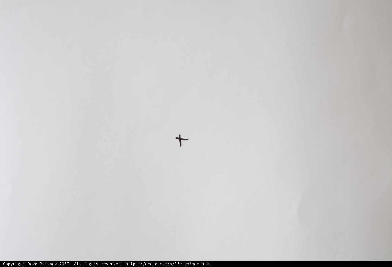 Taking Flight