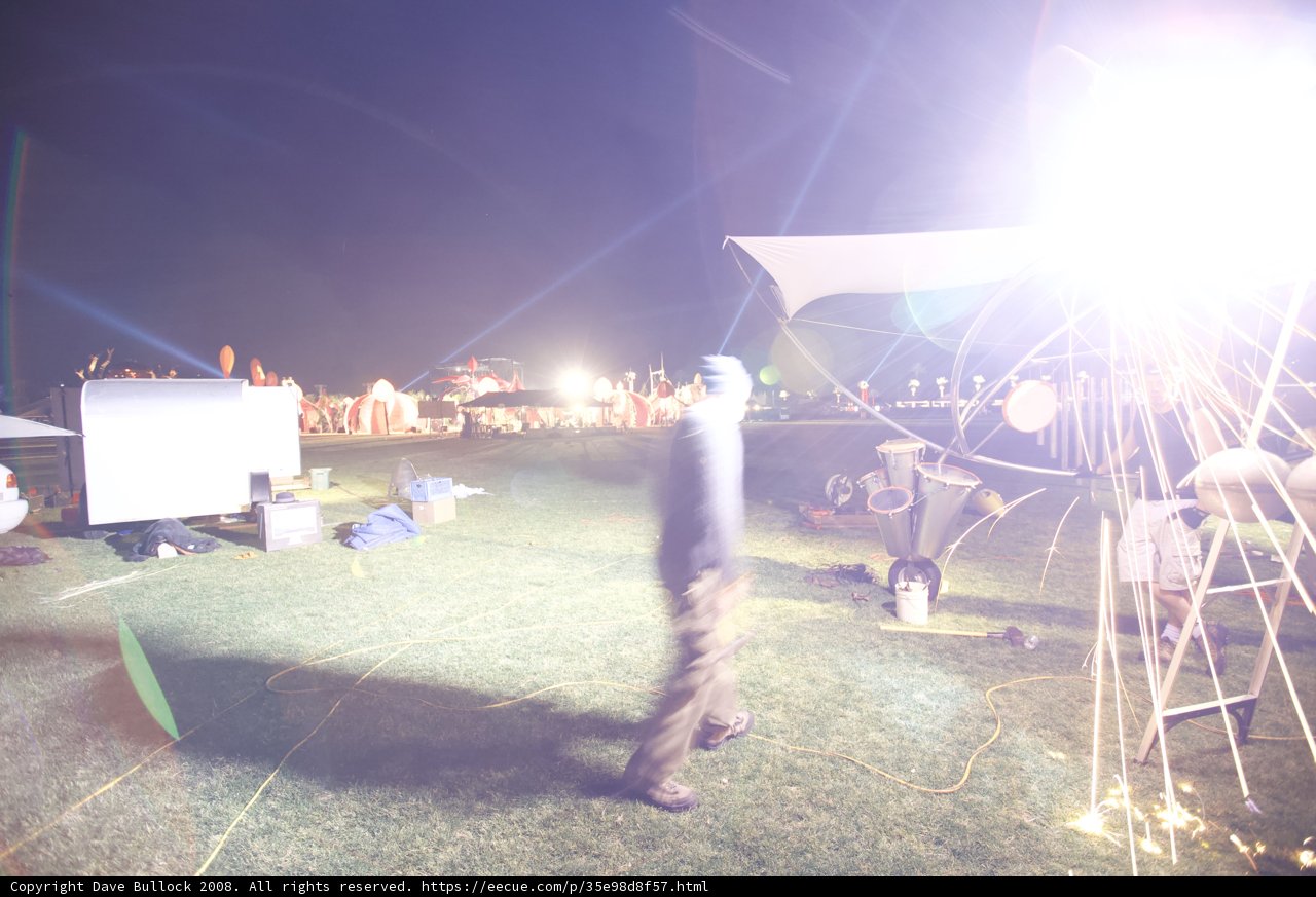 Illuminated in the Grass